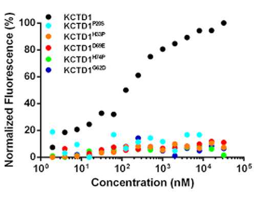 重庆不需要结婚证的试管医院排名榜揭晓