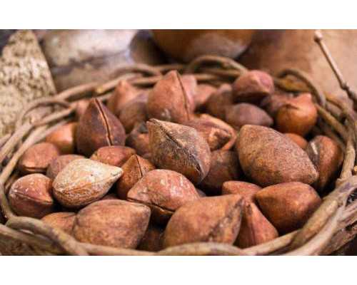 大小|发育都无法少,优势卵泡怎么分辨3点即可 试管代孕的大概费用