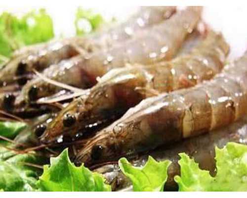 试管婴儿移植后多久验孕?试管移植后多久测怀孕?