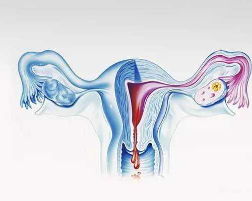 重庆妇幼三代试管费用高吗?重庆妇幼保健院第三代试管成功率高吗?