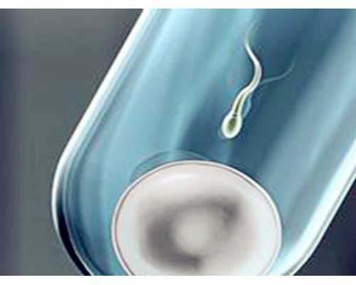 🇬🇧我去…Richmond park你别太美了好吧 试管代孕成功案例