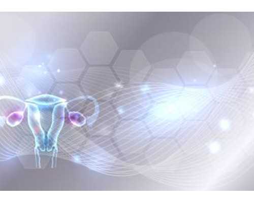 试管私立机构做三代试管费用详解