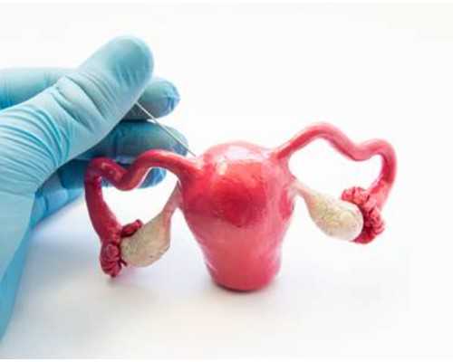 优势卵泡不排出怎么回事！优势卵泡排不出来的原因！ 哪里有代孕得