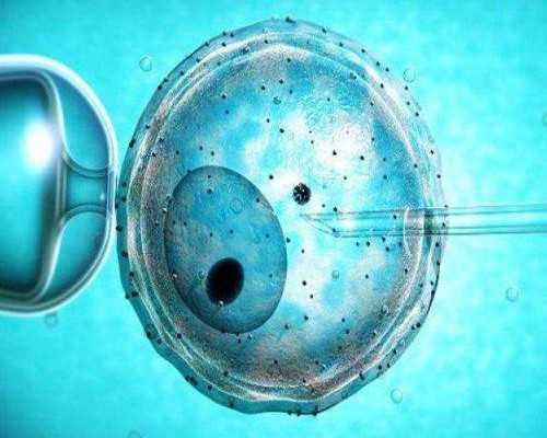 促排第十三天卵泡才1.0×9还有没有机会，雌二醇正常就行！