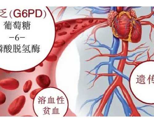 久备不孕很头疼,还不快来测测生育力? 试管代生价格