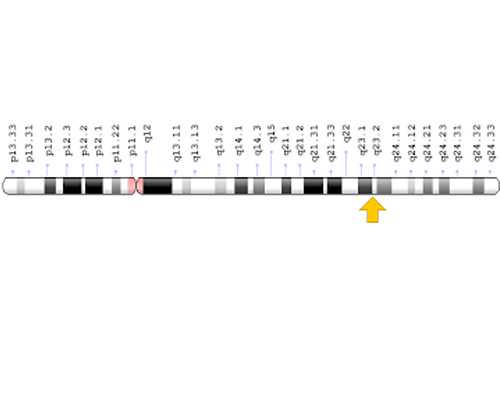 三亚试管第三代价格表是怎样的？具体来说说
