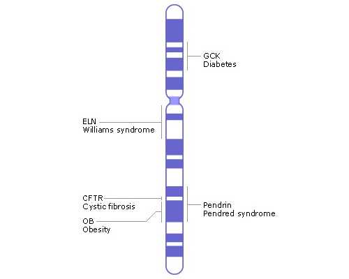 卵巢囊肿可以做试管嘛女性_卵巢囊肿可以试管吗
