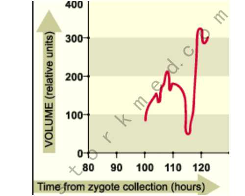 做试管怀孕有子宫肌瘤，做试管怀孕有子宫肌瘤影响吗