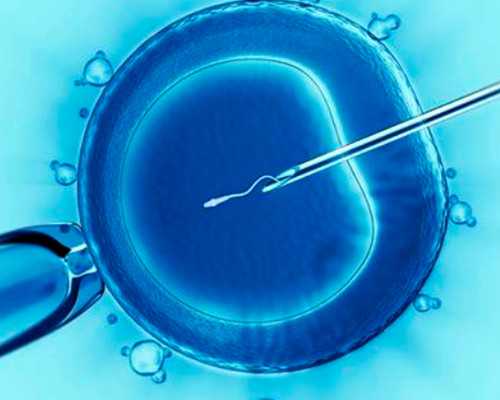 染色体异常做东莞三代试管婴儿成功率高吗！哪个医院好！