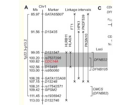 常州能不能做试管婴儿?一次性说清! 靠谱代孕电话